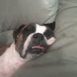 Meet your Posher, Billy dravis